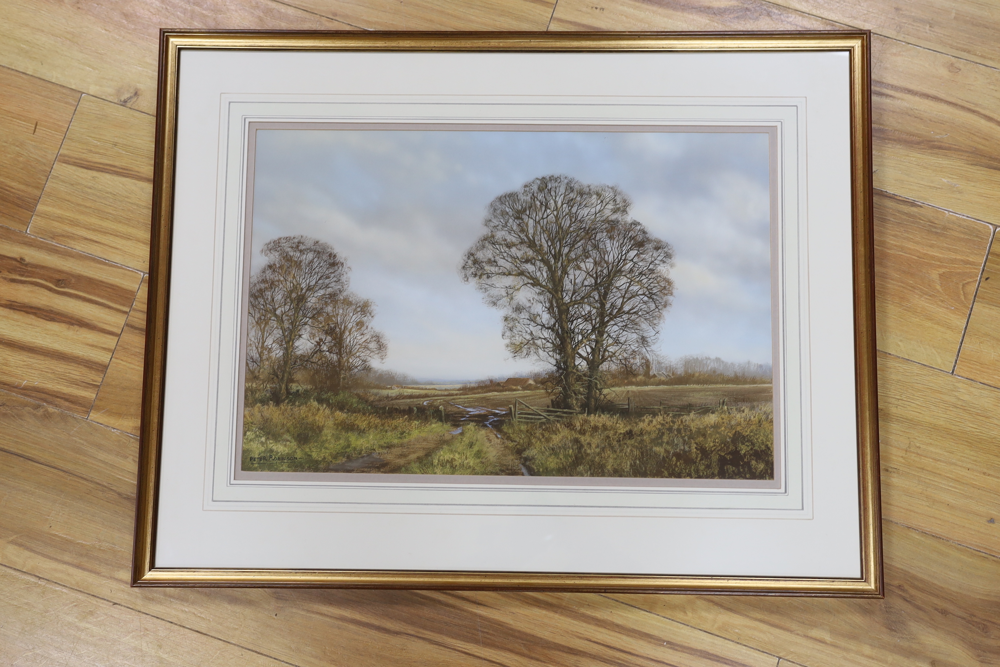 Peter Robinson (20th. C), gouache, Rural landscape with farm buildings, signed, 34 x 52cm